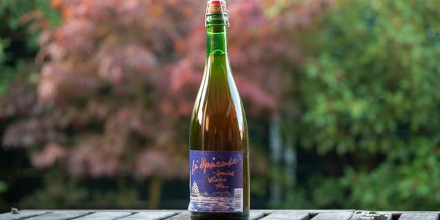 La Moneuse Special Winter Ale