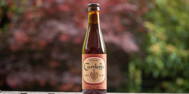 Dubbel
