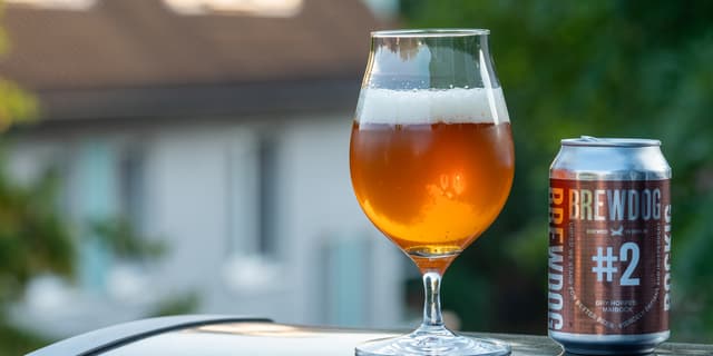 Pilot #2 Dry Hopped Maibock