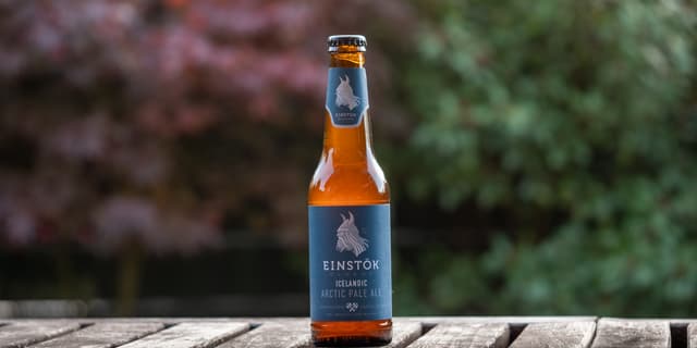 Icelandic Arctic Pale Ale