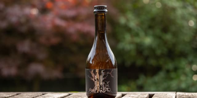 Tempus Project Far From the Tree