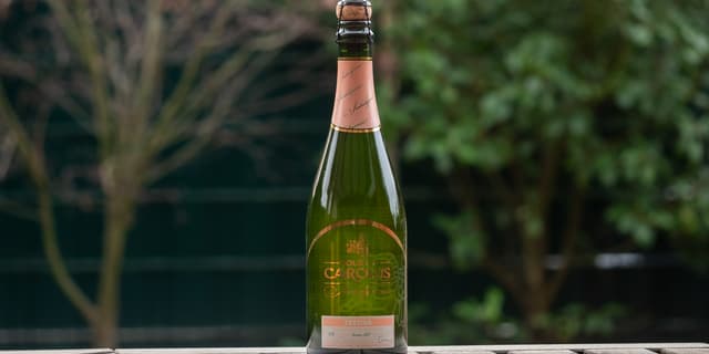 Indulgence 2022 - Festiva