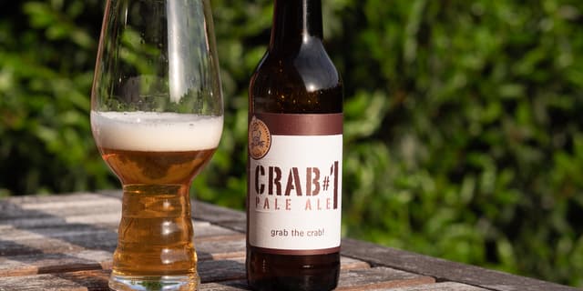 CRABBS - Crab#1