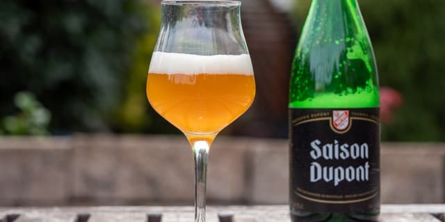Saison Dupont