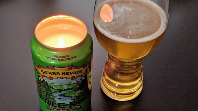 Upcycling: Kerzen aus Craftbier-Dosen